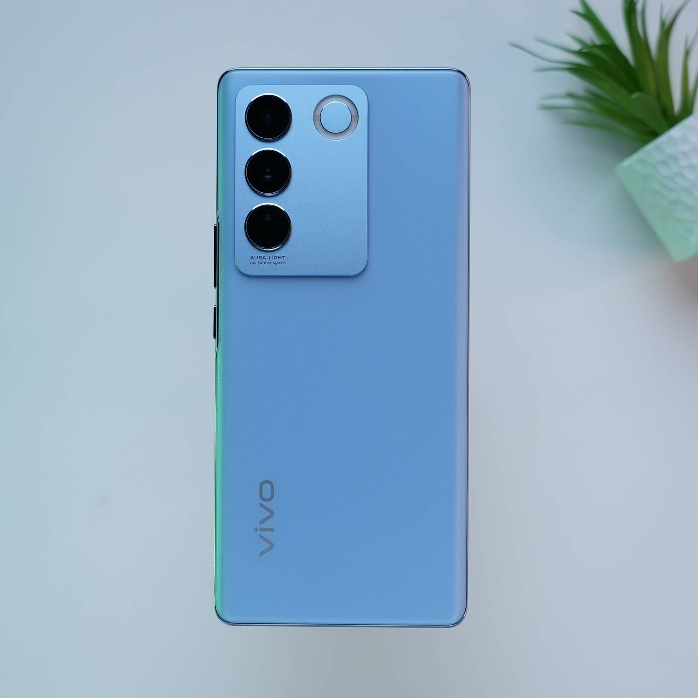 vivo