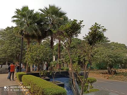 Xiaomi Redmi Note 8 Pro