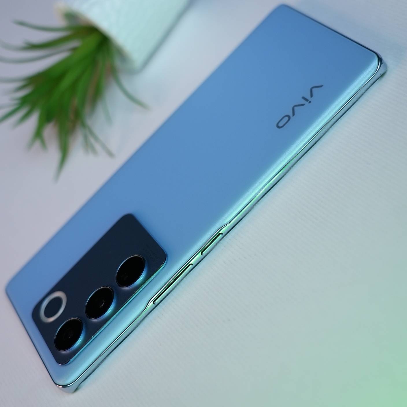 vivo