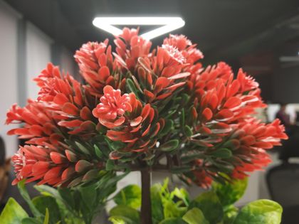 Xiaomi Redmi Note 5 Pro