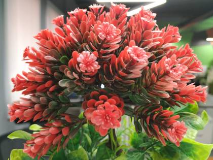 Xiaomi Mi A2 (Mi 6X)