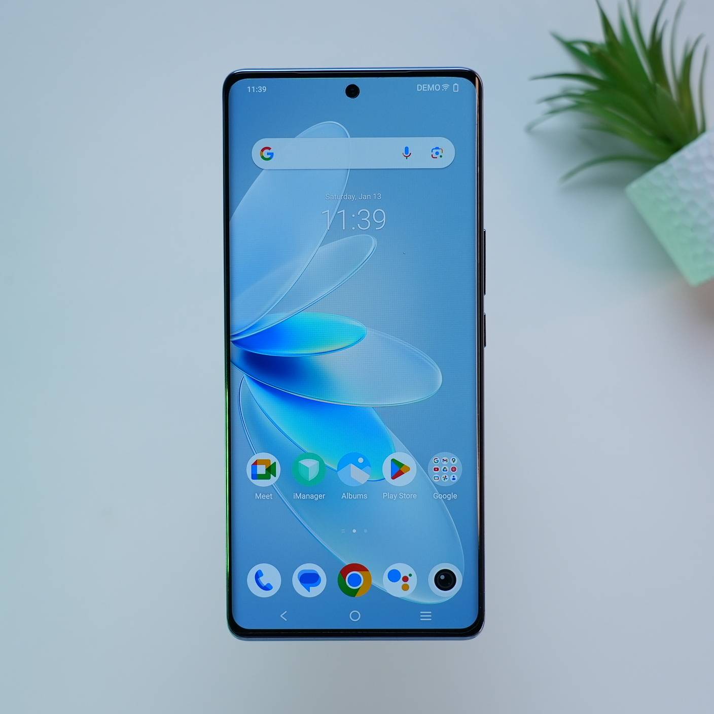 vivo
