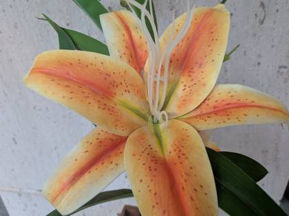 Google Pixel 10 Pro XL