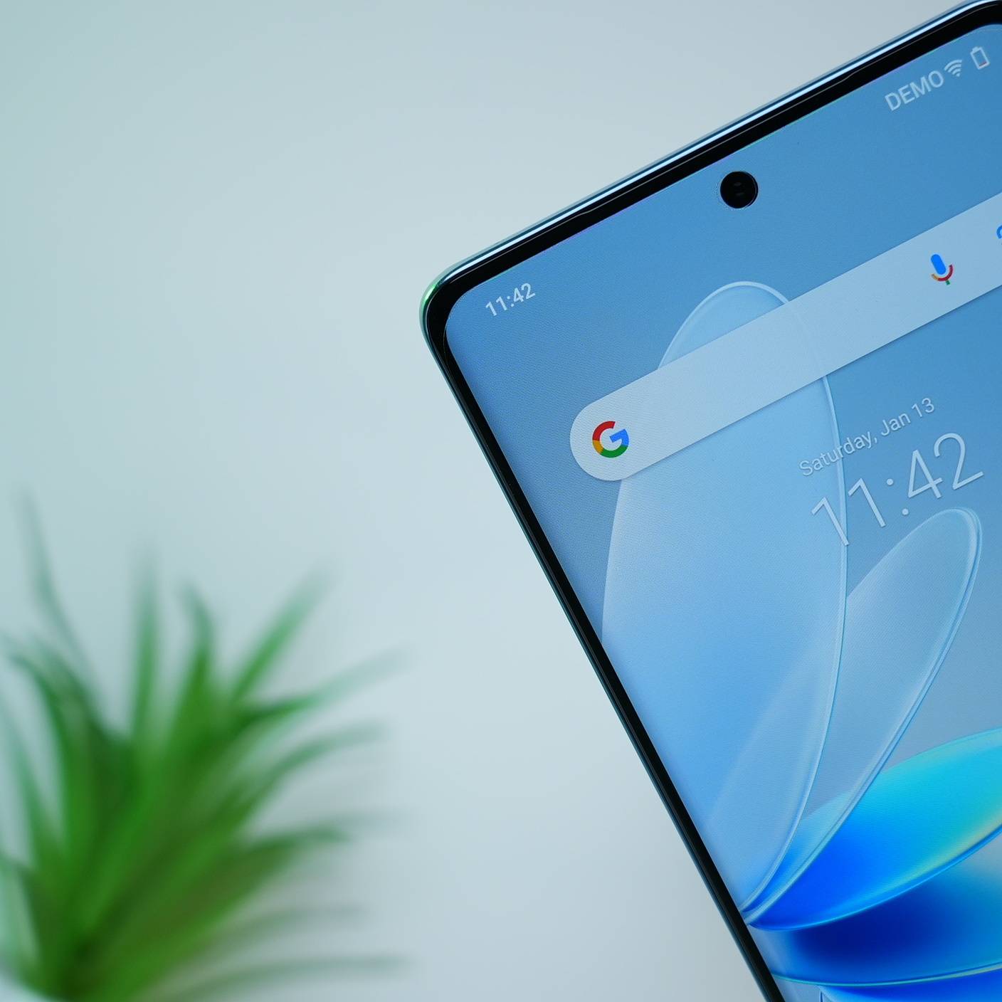 vivo