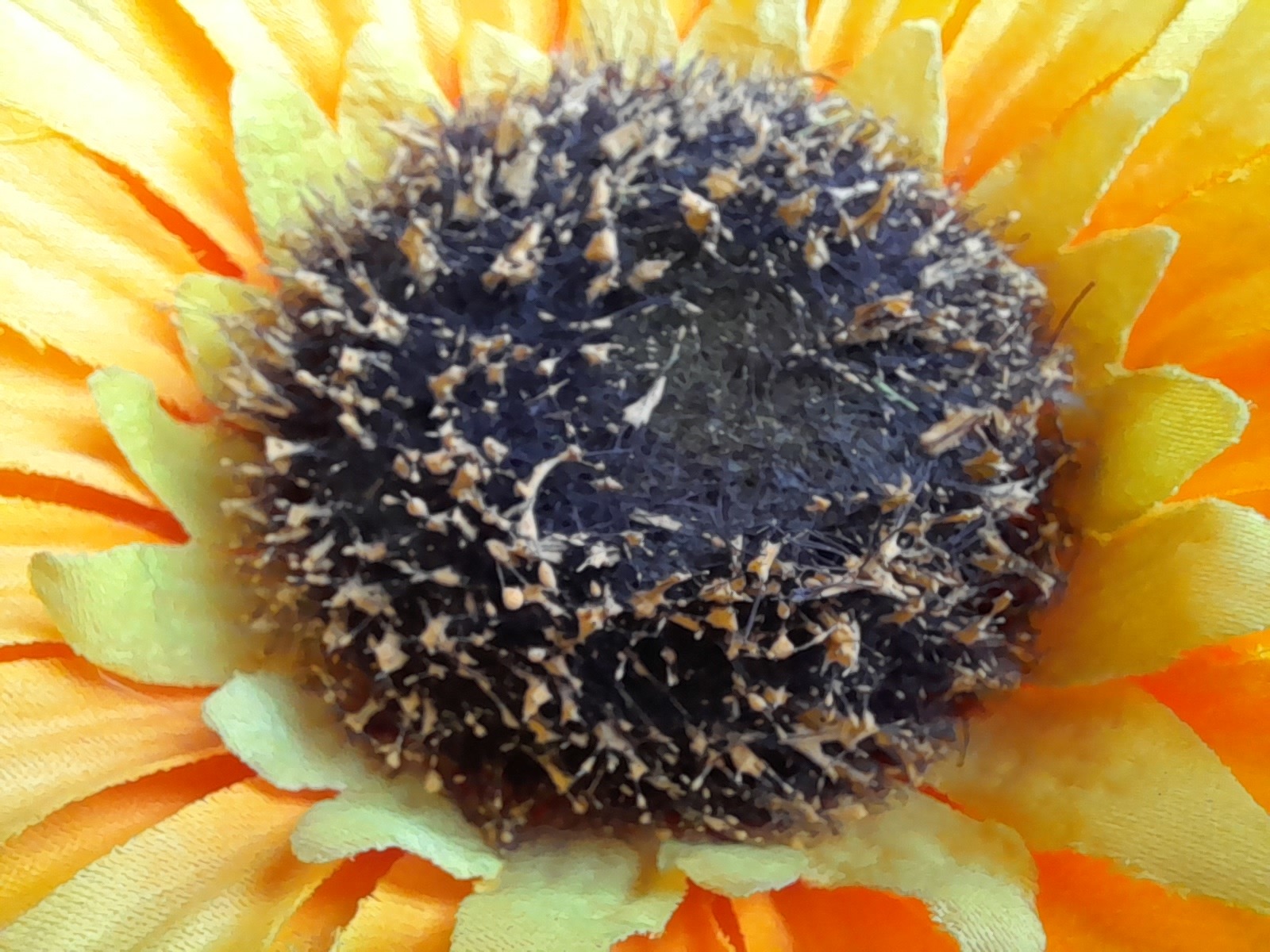 [Exclusive] Samsung Galaxy M12/F12 specs revealed