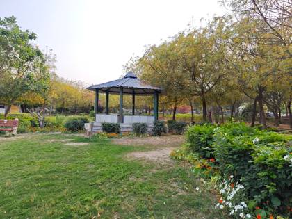 Xiaomi 13 Pro