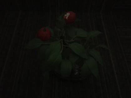 Apple iPhone SE 64GB