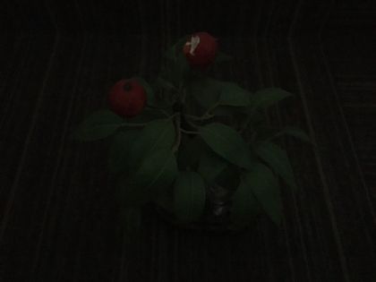 Apple iPhone SE 16GB