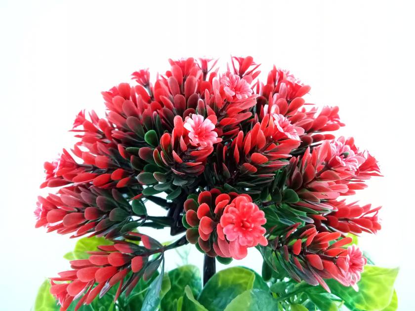 Rear Camera