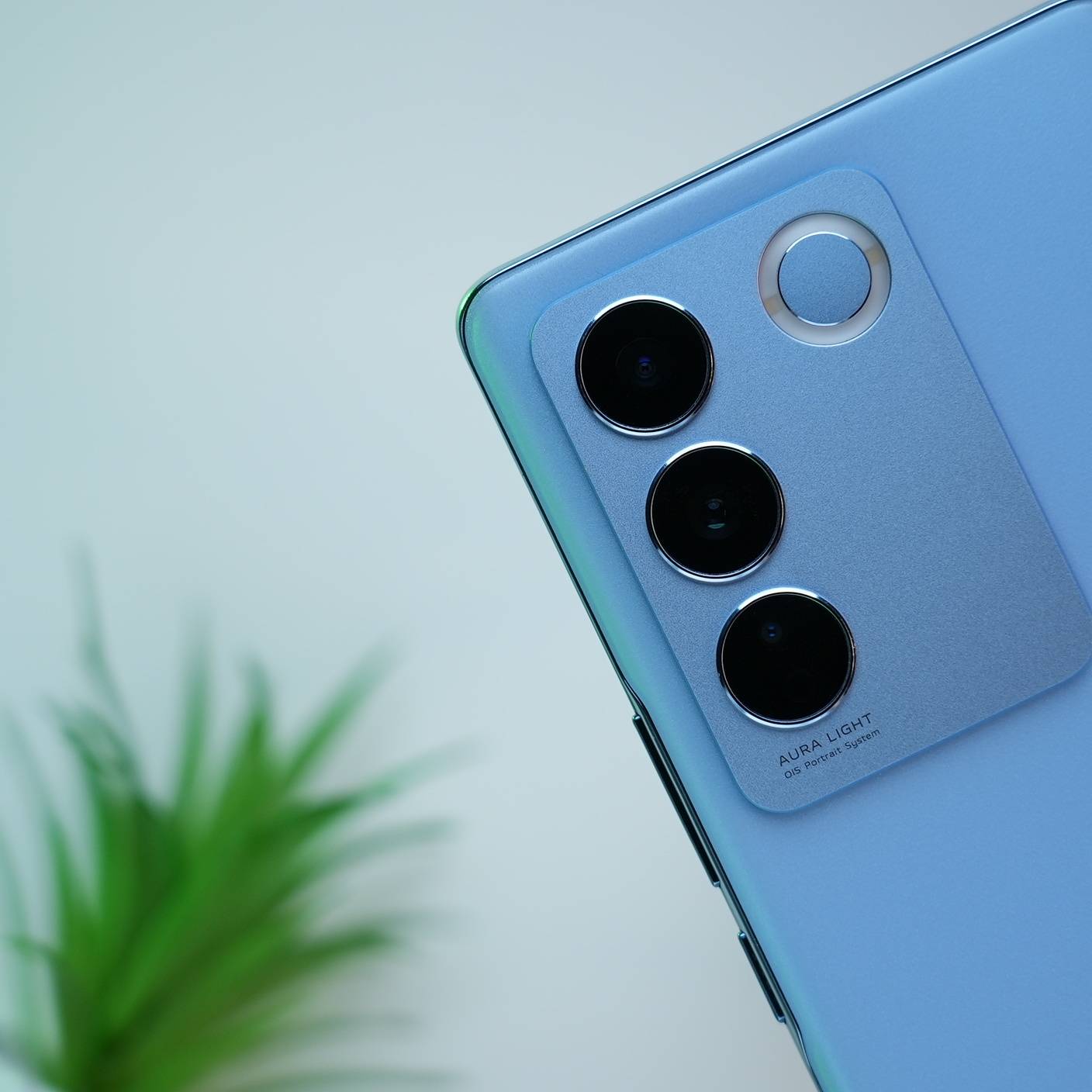 vivo