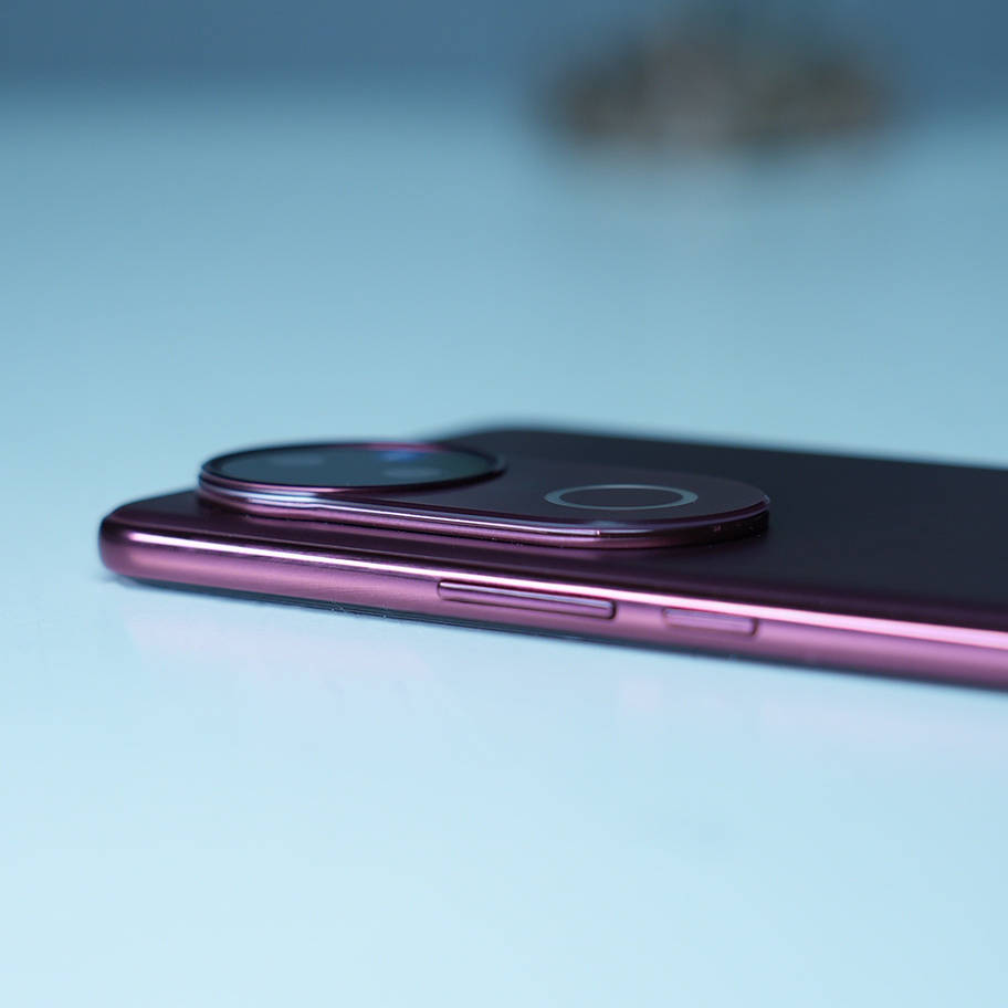 vivo