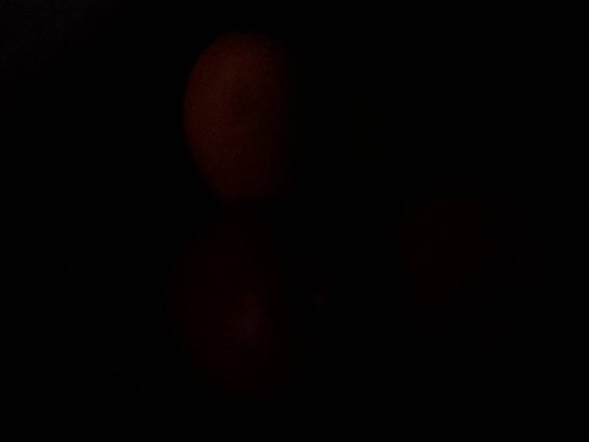 Rear Camera