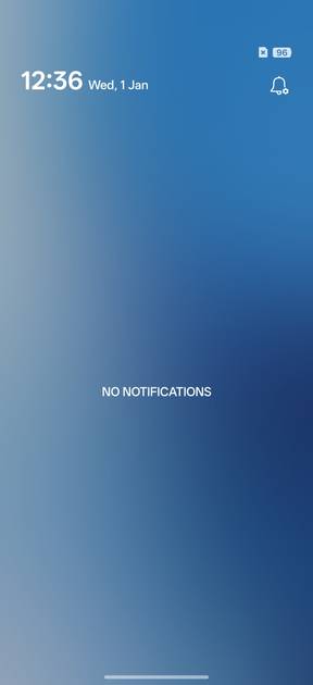 UI Screenshot