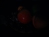 Rear Camera