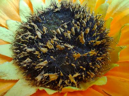 realme GT Neo 2 5G 256GB