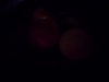 Rear Camera