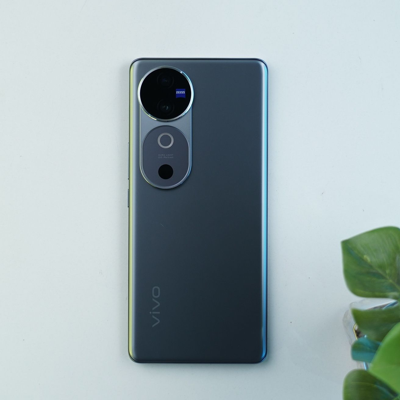 vivo
