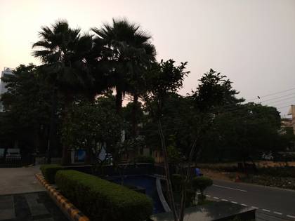 Xiaomi Redmi 8A