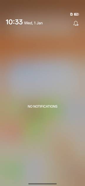 UI Screenshot