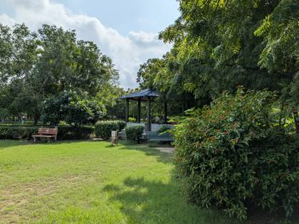 Google Pixel 10 Pro Fold