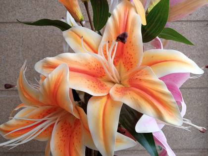 Infinix Smart 4 Plus