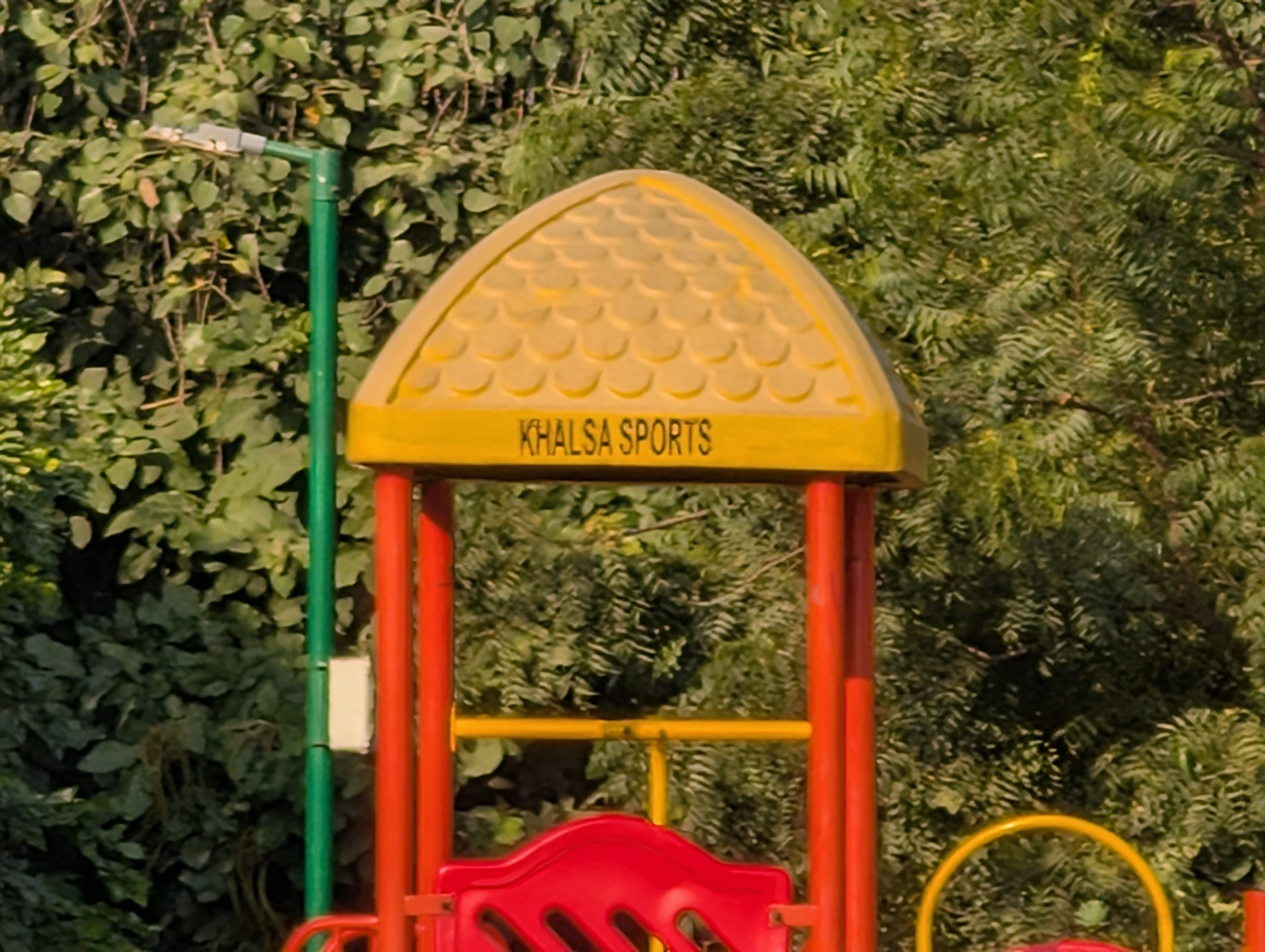 Rear