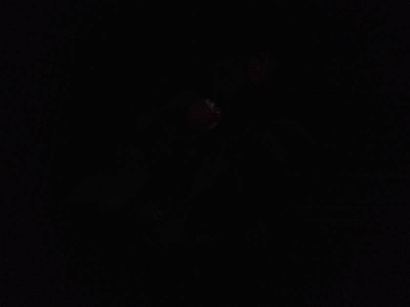 Rear Camera