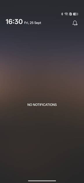 UI Screenshot