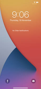 Apple iPhone 12 Pro Max - Price in India, Full Specs (14th October 2023