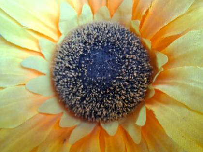 Samsung Galaxy M35 256GB