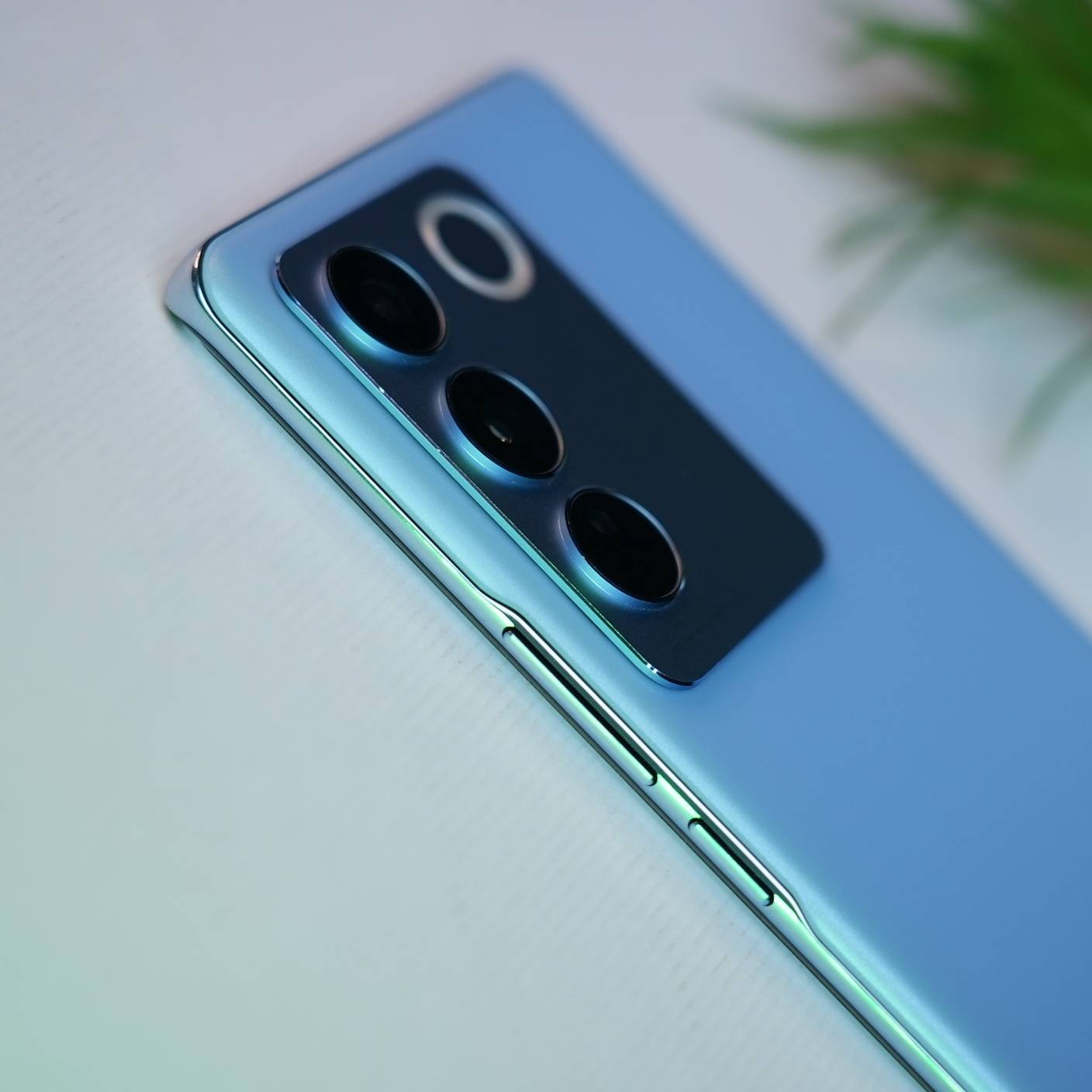 vivo