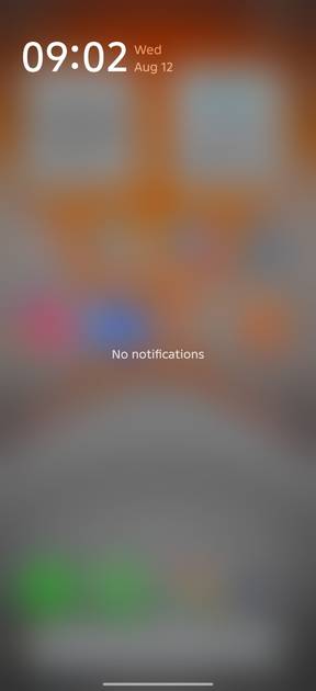 UI Screenshot