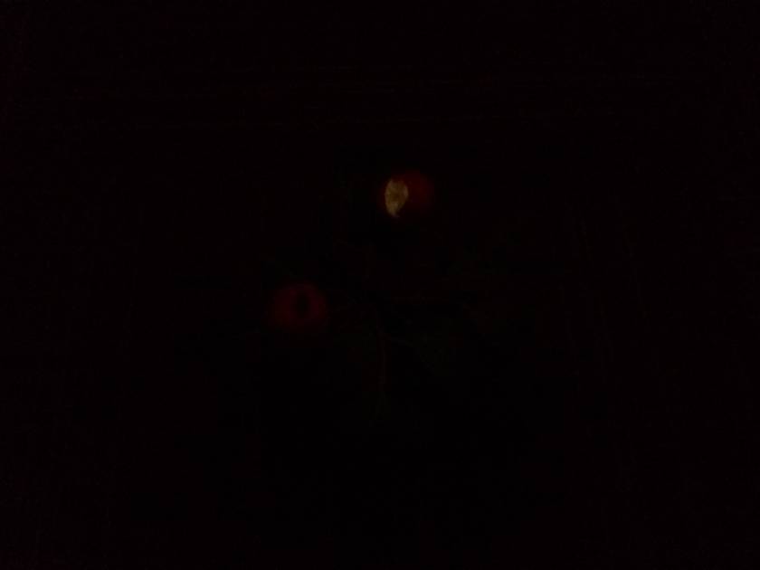 Rear Camera