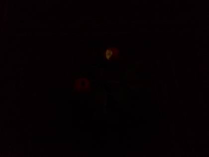 Micromax Canvas 5 E481 3GB RAM