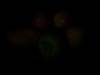 Rear Camera