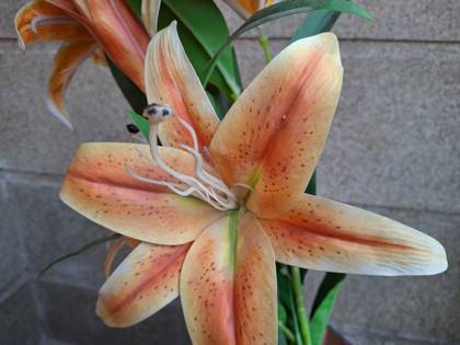 Samsung Galaxy A35 256GB