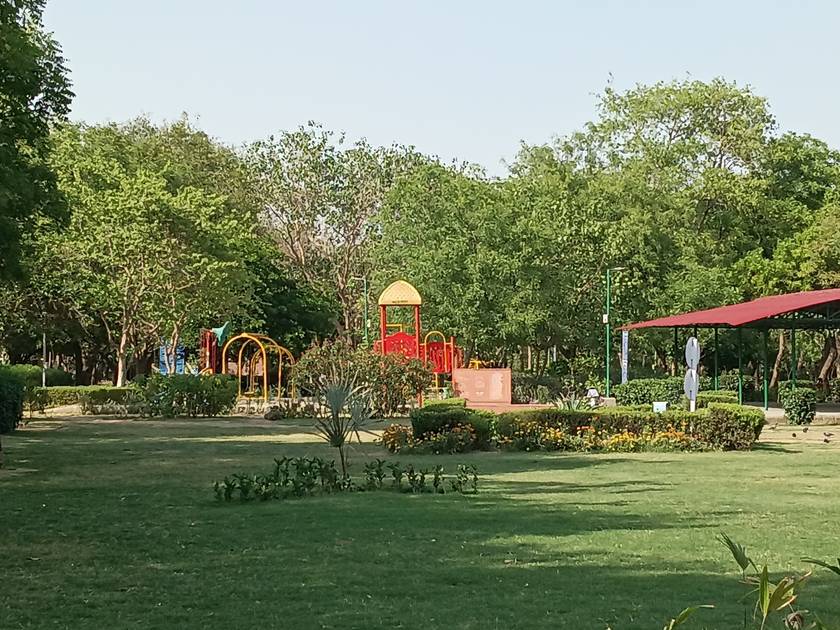 Rear Camera