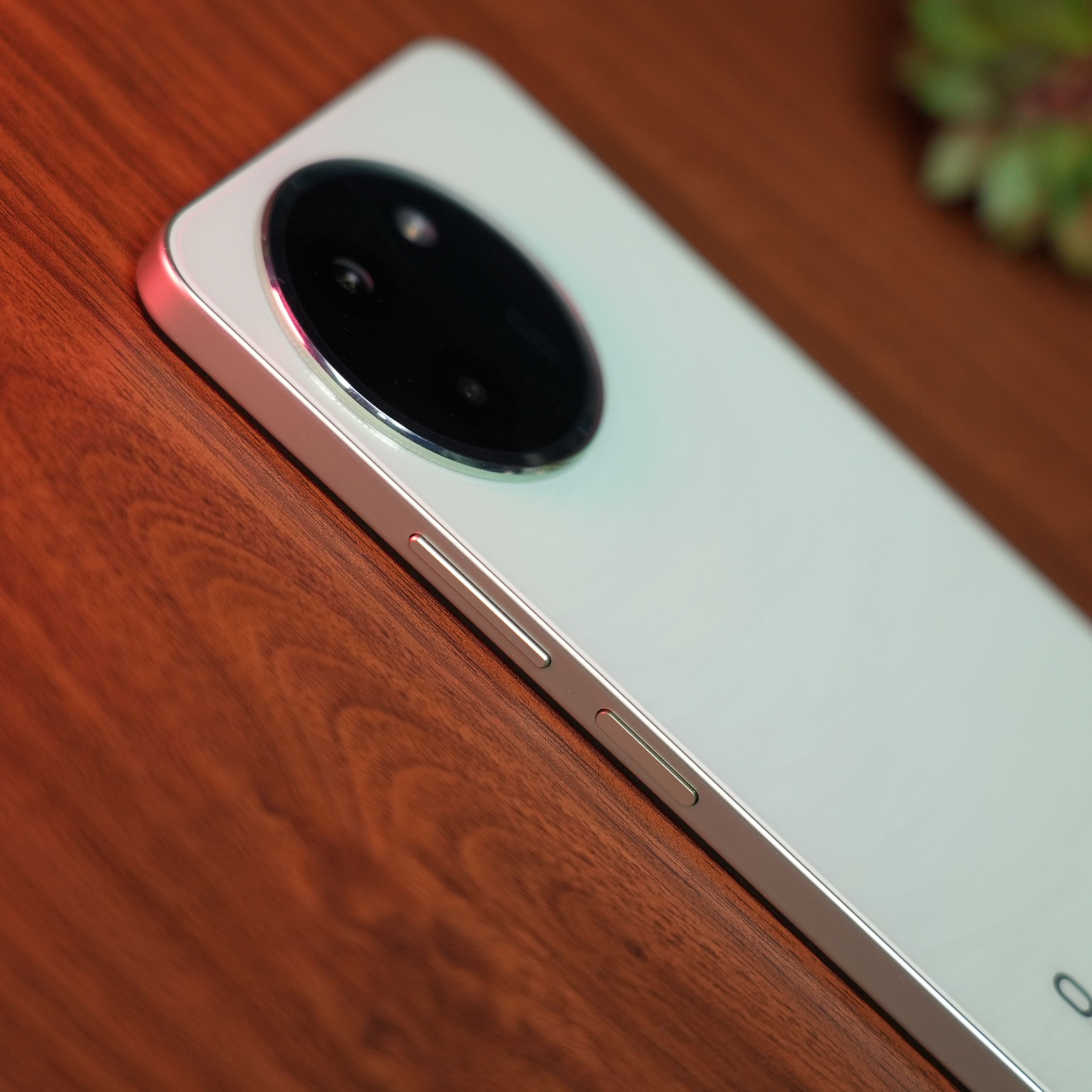 vivo