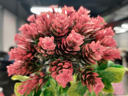 OnePlus 7 Pro