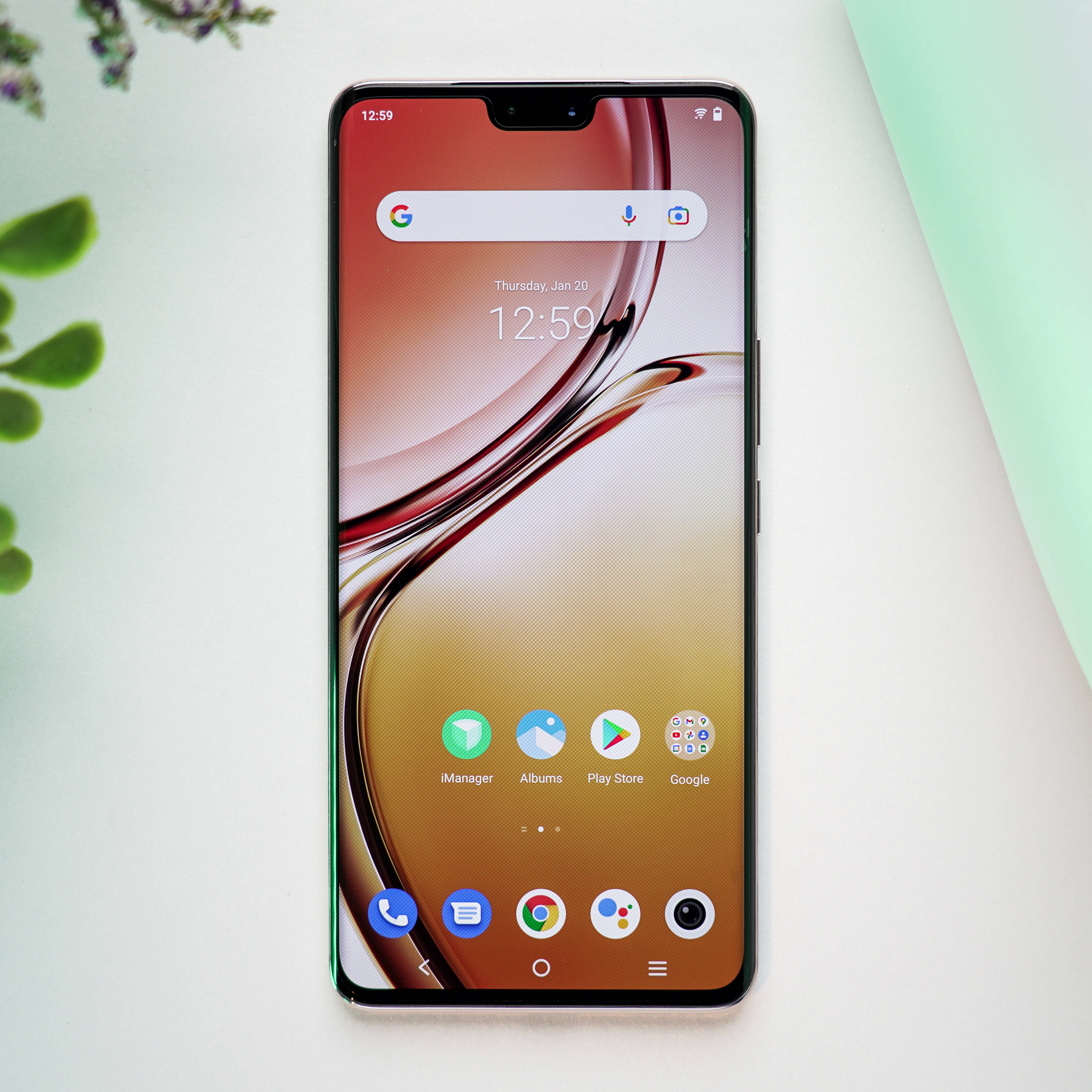 vivo