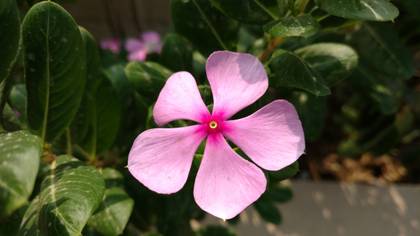 Motorola Moto X Style 16GB