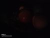 Rear Camera