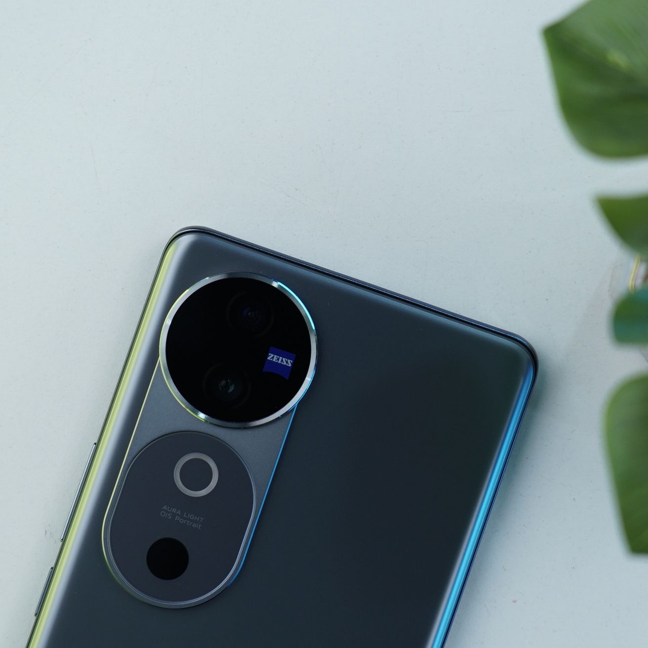 vivo