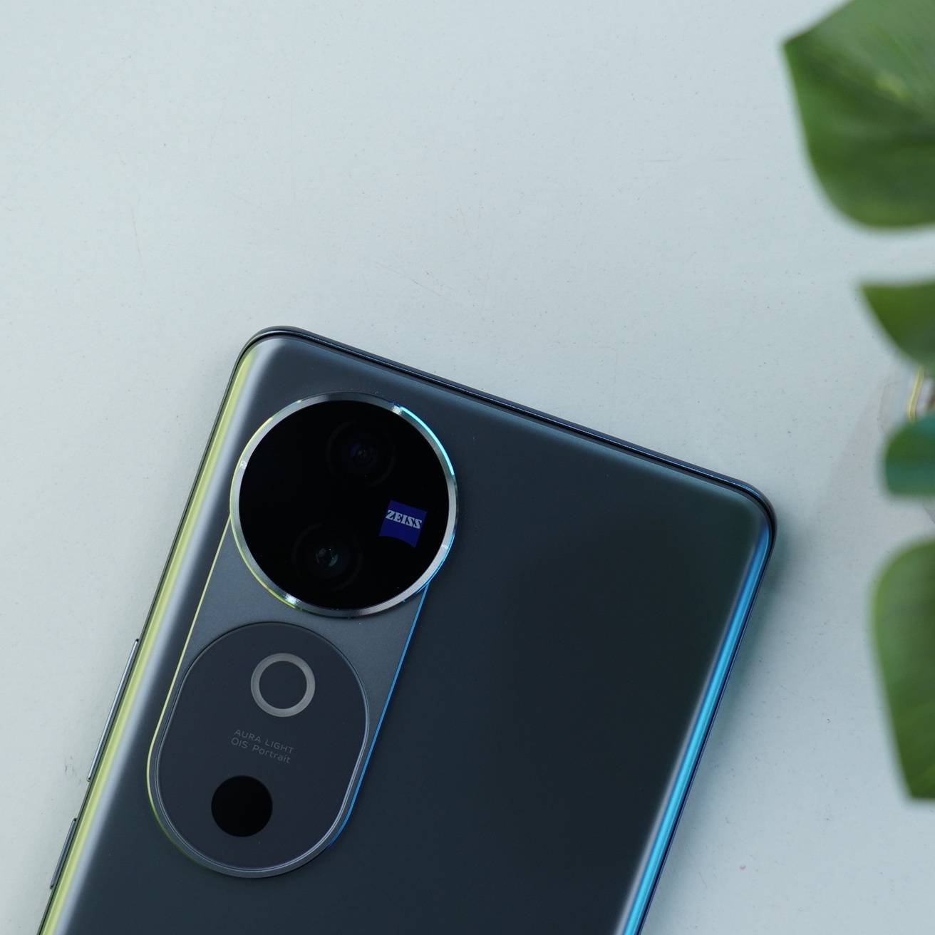 vivo