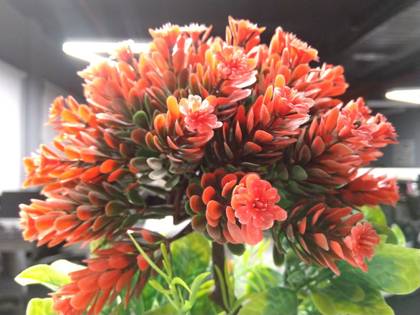 Nokia 6.1 (Nokia 6 2018)