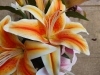 Rear Camera
