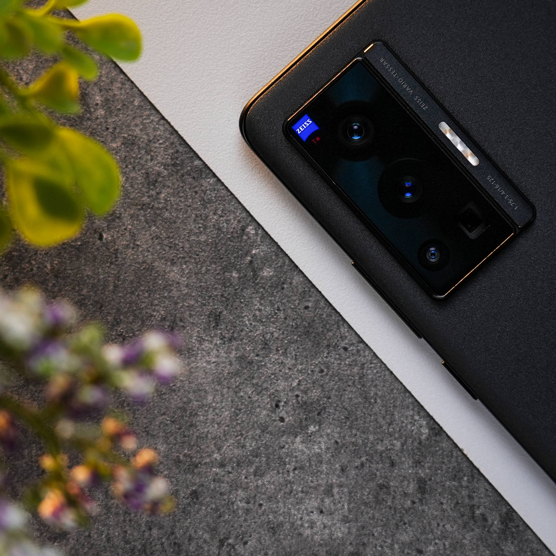vivo