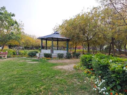 Xiaomi 13 Pro