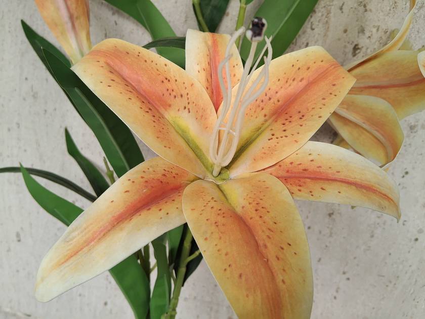 loading..