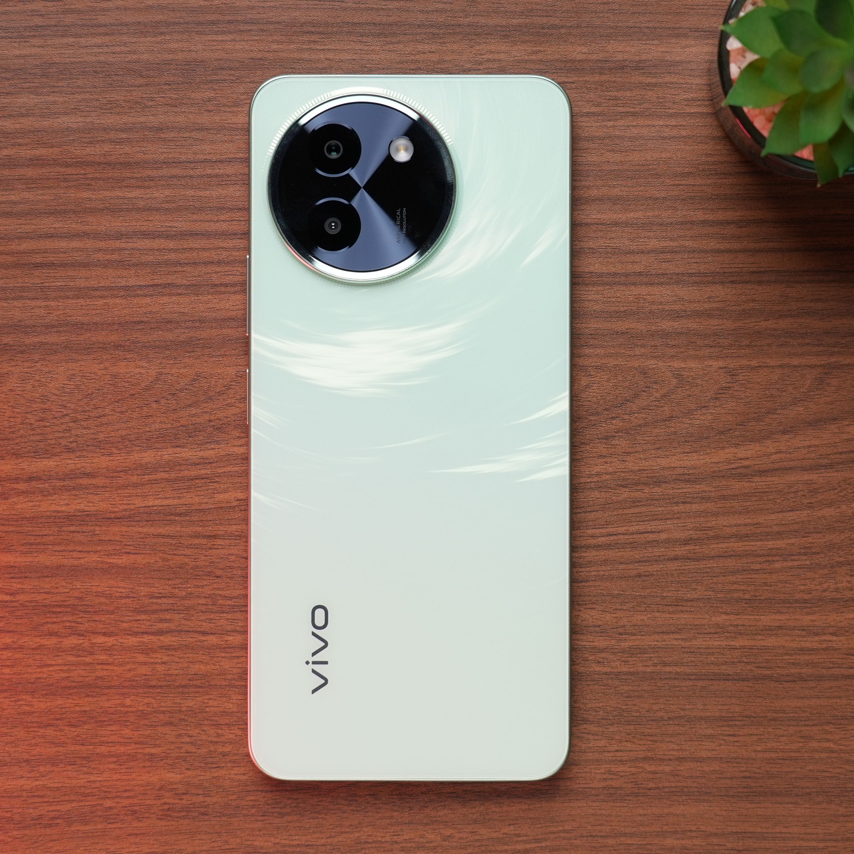 vivo